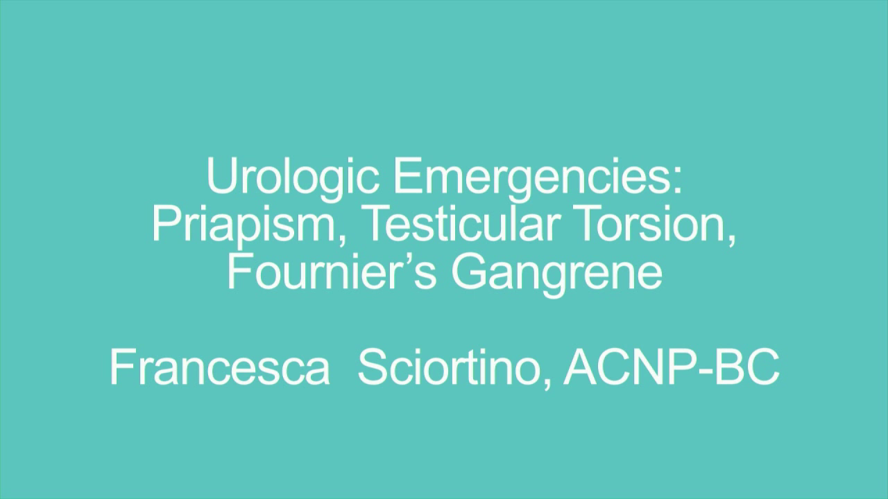 Urologic Emergencies: Priapism, Testicular Torsion, Fournier’s Gangrene