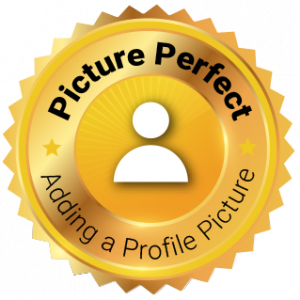 Picture Perfect icon