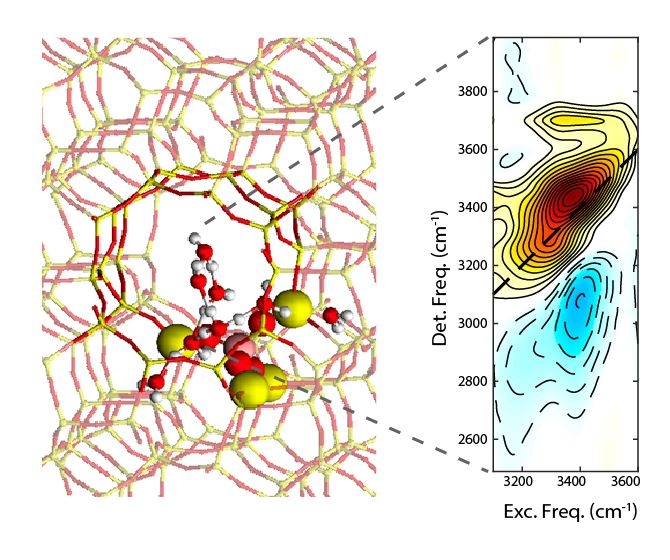 Structural Insights On Protonated Water Clusters Confined In Hzsm 5