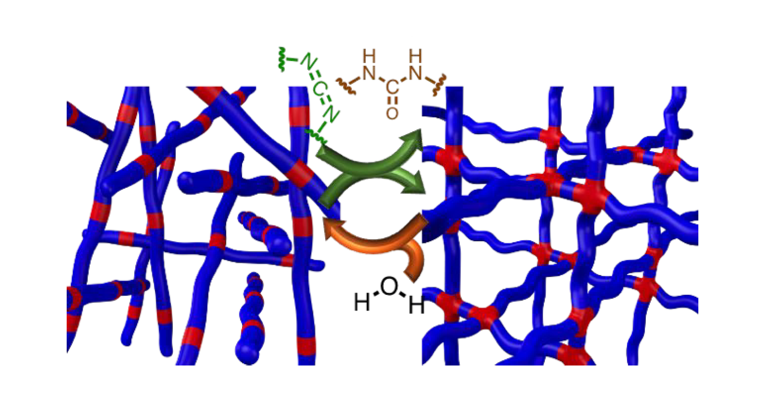 Exploring Transient Covalent Crosslinking Of Dynamic Polymer Materials