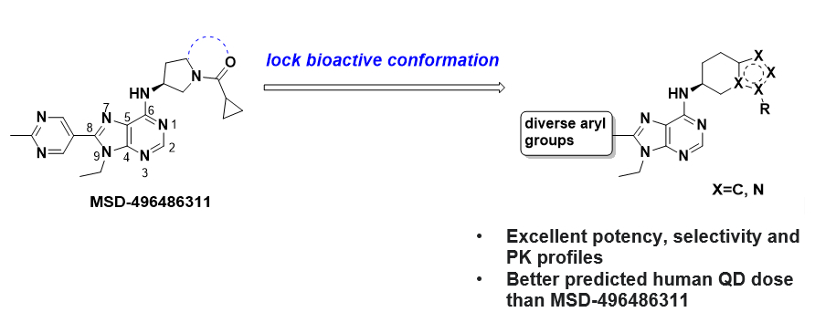 Discovery and optimization of fused heterobicyclic amino purine as