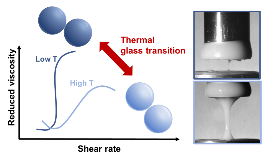 Impact of glass transition temperature on the shear jamming of