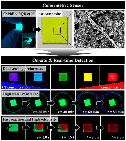 Fabrication Of CsPbBr3 Perovskite Quantum Dots/cellulose-based ...