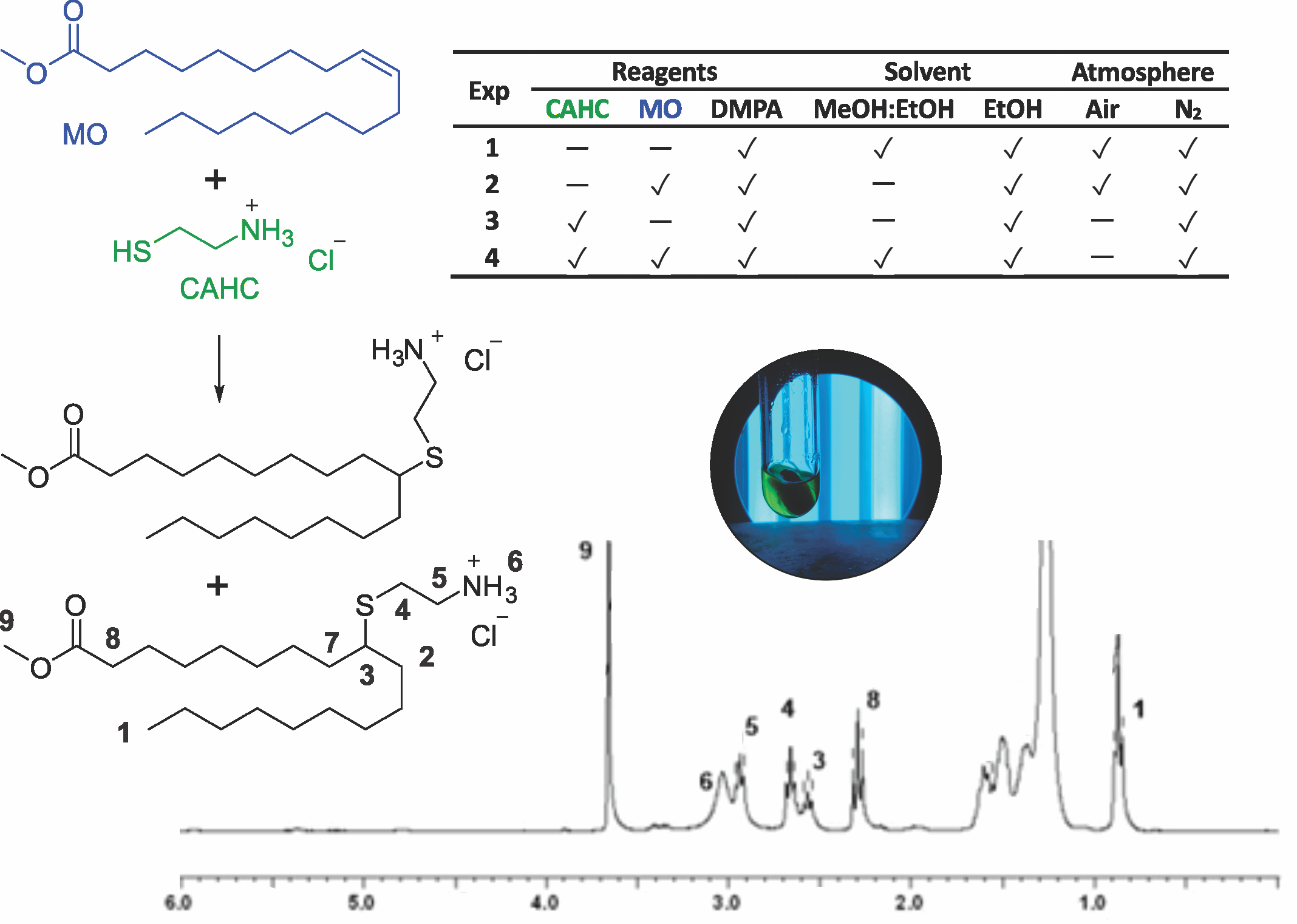 Thiol-ene coupling reaction between methyl oleate and cysteamine ...