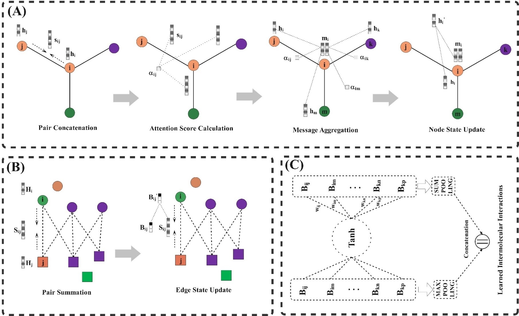 lightweight equivariant graph representation learning for protein engineering