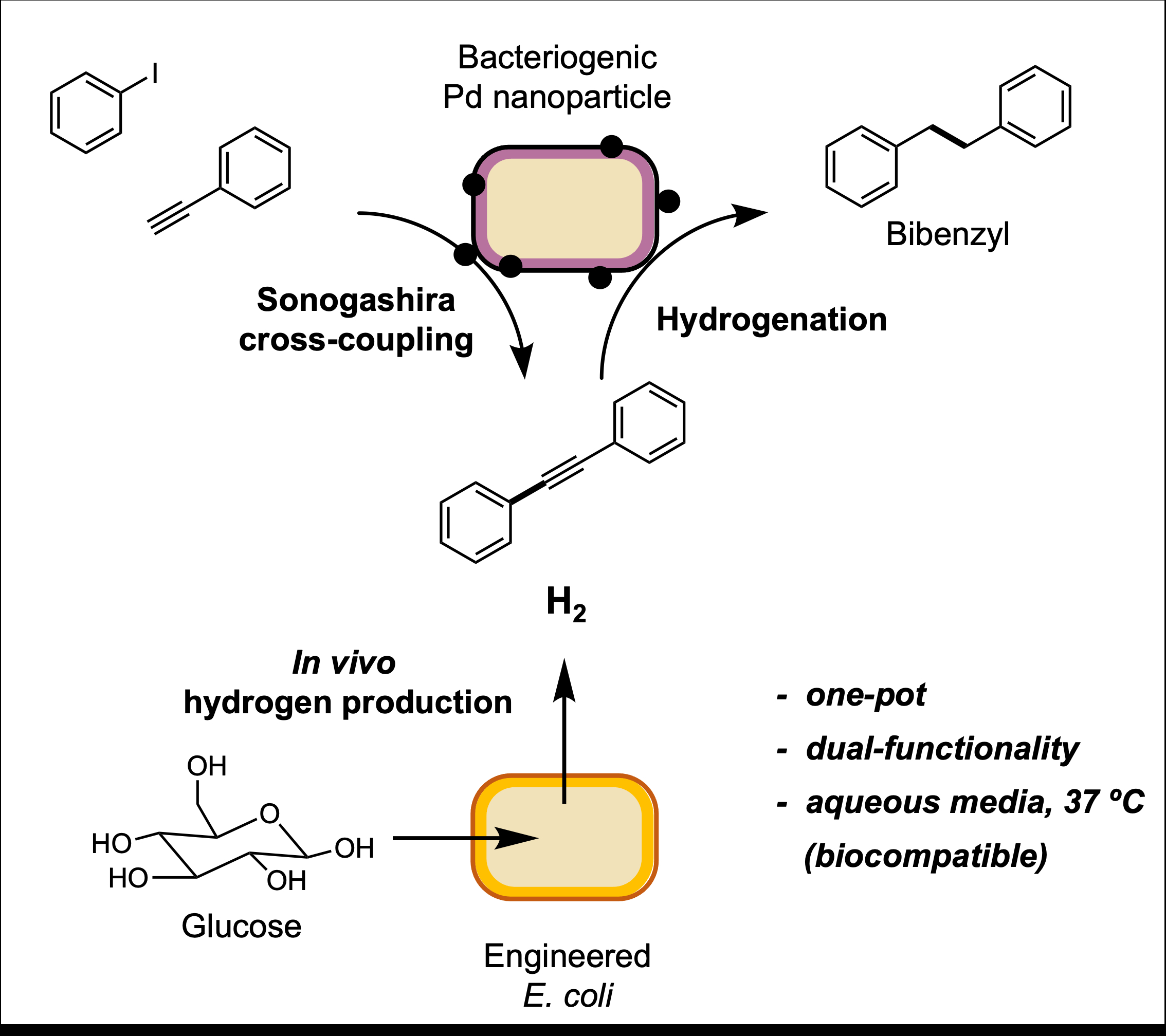 Biocompatible one-pot cross-coupling/hydrogenation tandem reactions