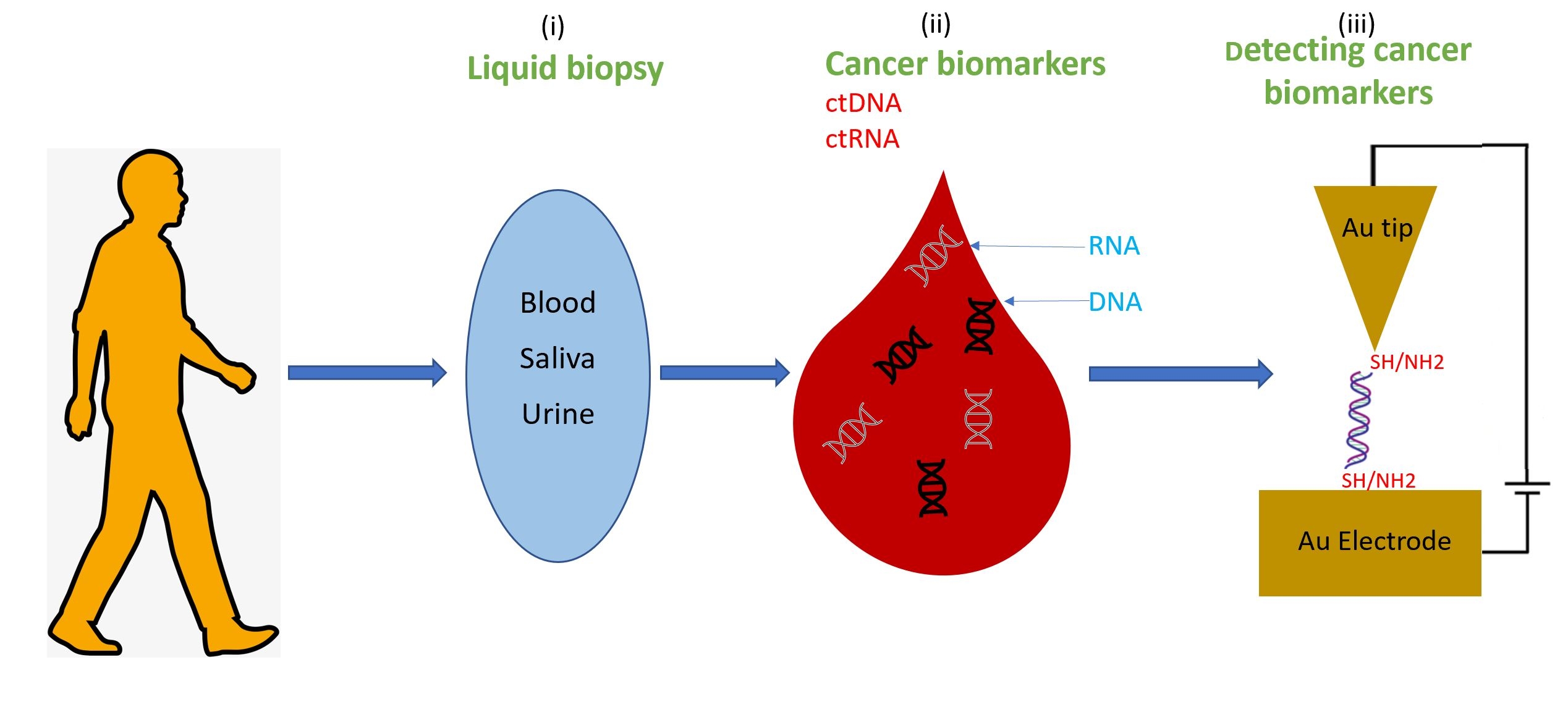 Figure 1: Electrical cancer detection via single-molecule techniques in liquid biopsies