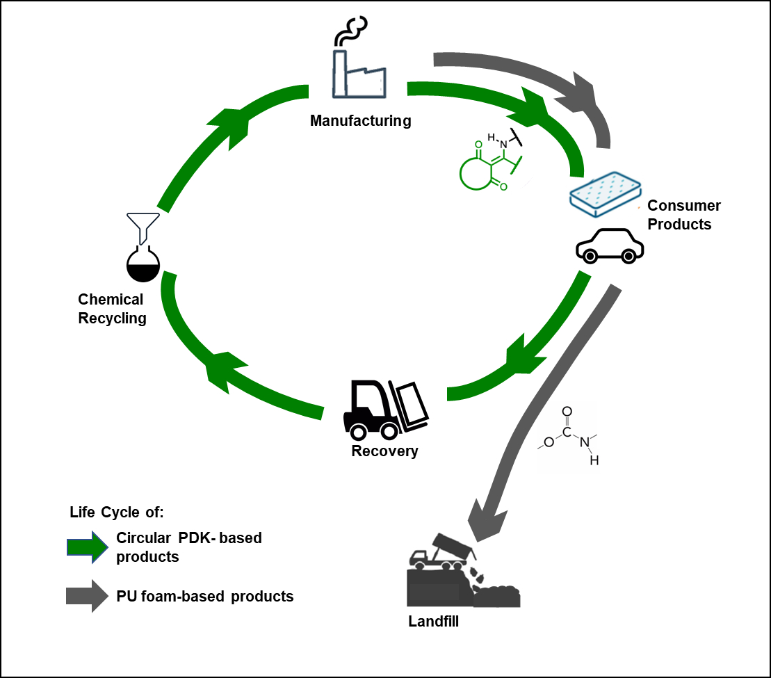 life-cycle-assessment-of-novel-circular-polymer-to-replace-polyurethane