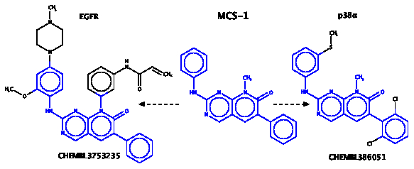 Fig. 1. MCS shared between p38α and EGFR kinases: The MCS-1 shared between EGFR and MAPK11 (p38α) identified through CSViz is highlighted in both compounds.