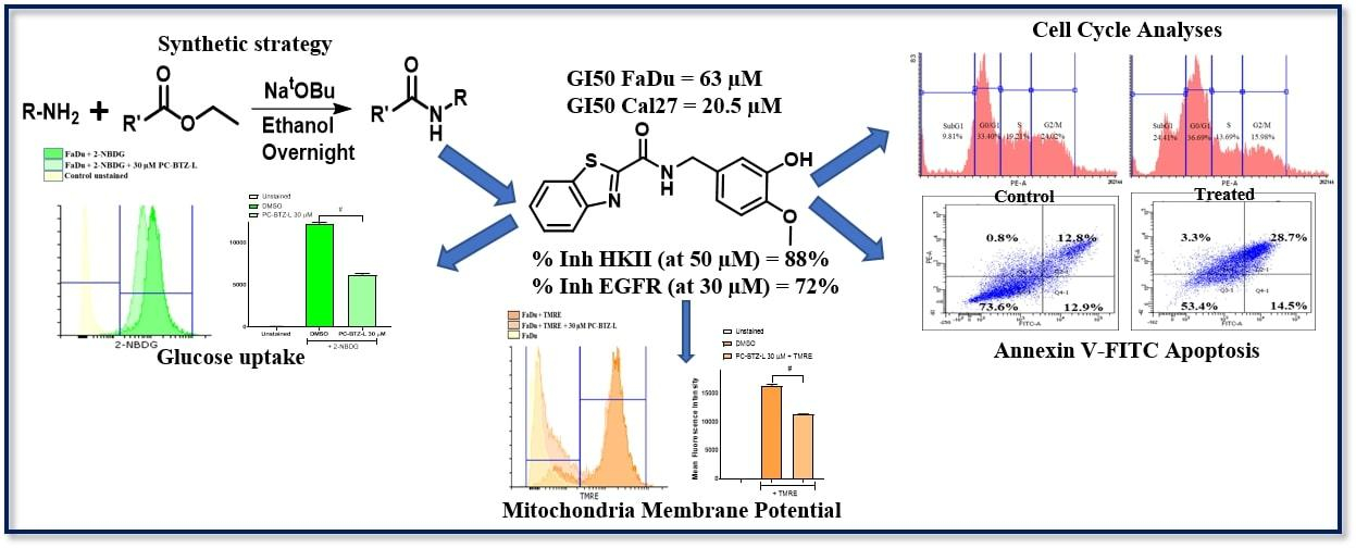 Fig.: Green synthetic strategy and <i>in vitro </i>studies of benzothiazole carboxamide based HK2/EGFR- dual kinase inhibitor.