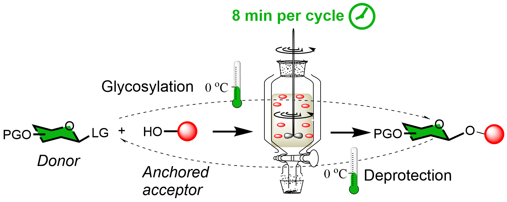 Accelerated and optimized solid phase glycan synthesis