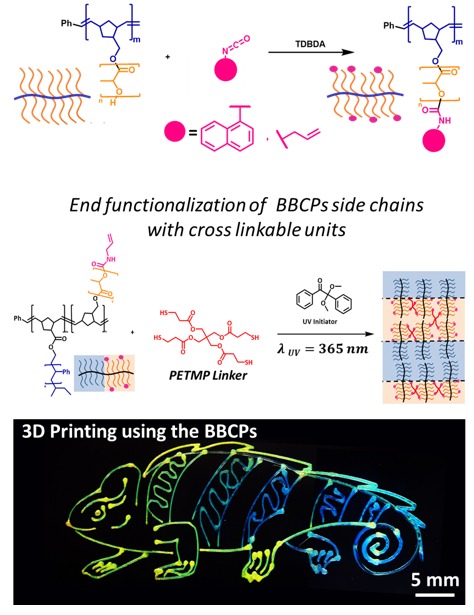 Post Polymerization Modification Of Bottlebrush Polymers For Spatially And Temporally Controlled