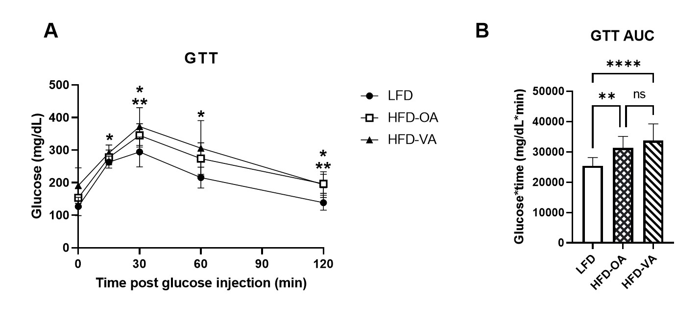 Effect Of Trans Vaccenic Acid On Glucose Homeostasis In A Mouse Model ...