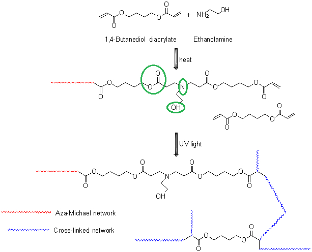 Role of DMSO in poly(β-amino ester) based solid polymer electrolytes ...