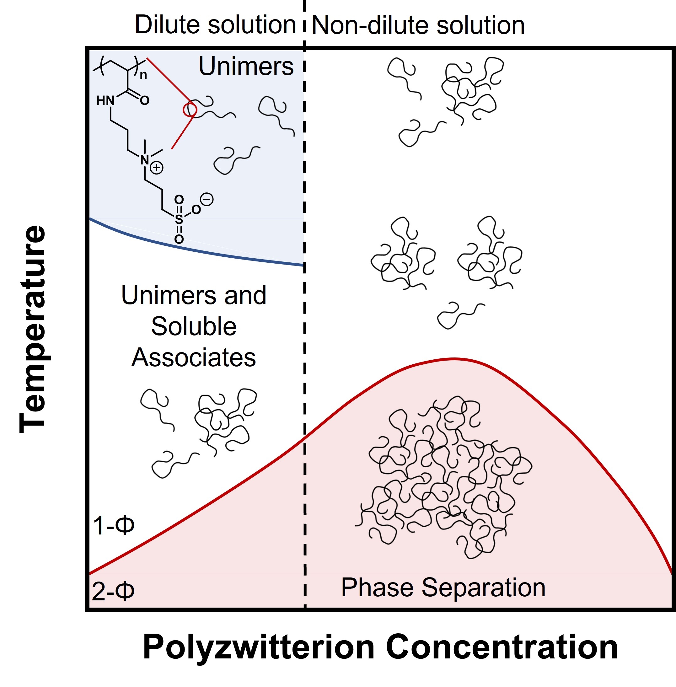 Polyzwitterion solutions exhibit associative interactions coupled to