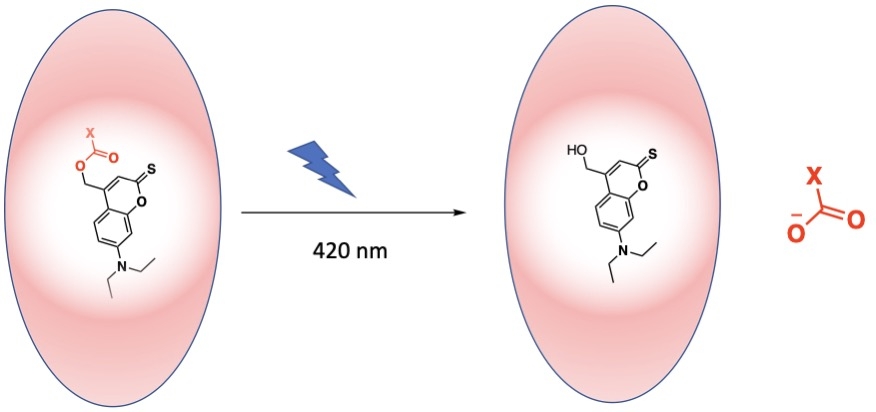 Melding Photochemistry And Supramolecular Chemistry Principles Enable