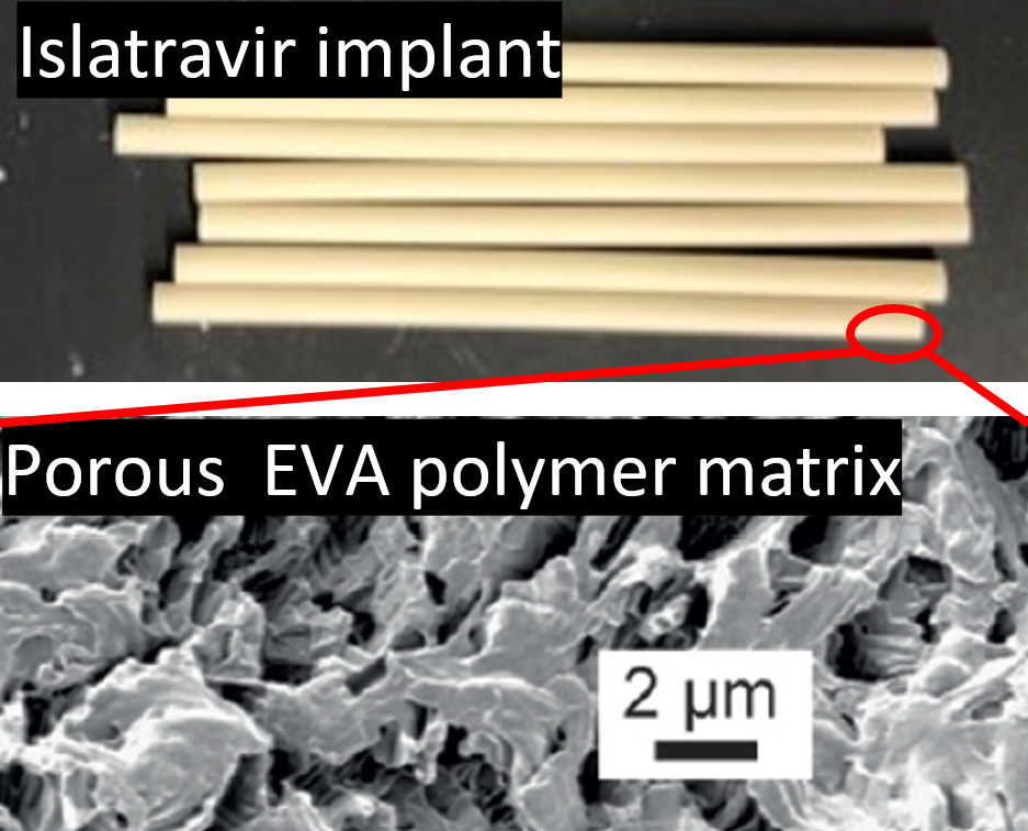 Factors affecting the ethylenevinyl acetate copolymer crystallinity in