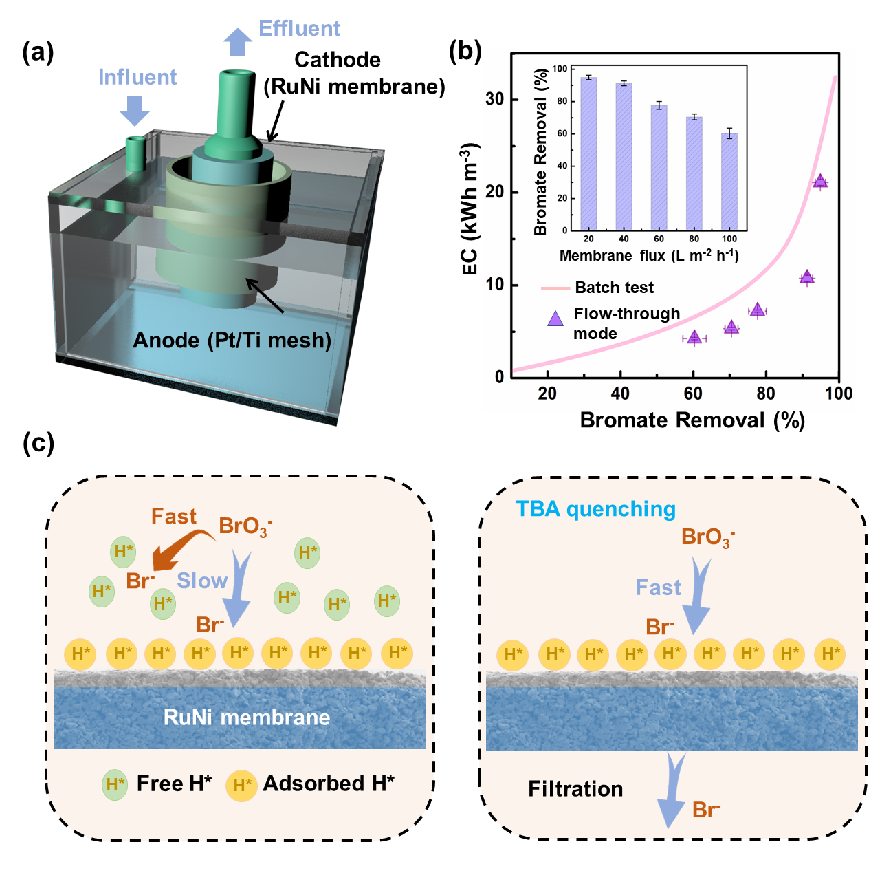Electrochemical membrane with metal heteroatom interface for bromate