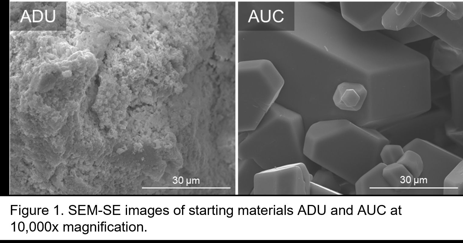 Exploration of uranium tetrafluoride morphologic signatures for nuclear