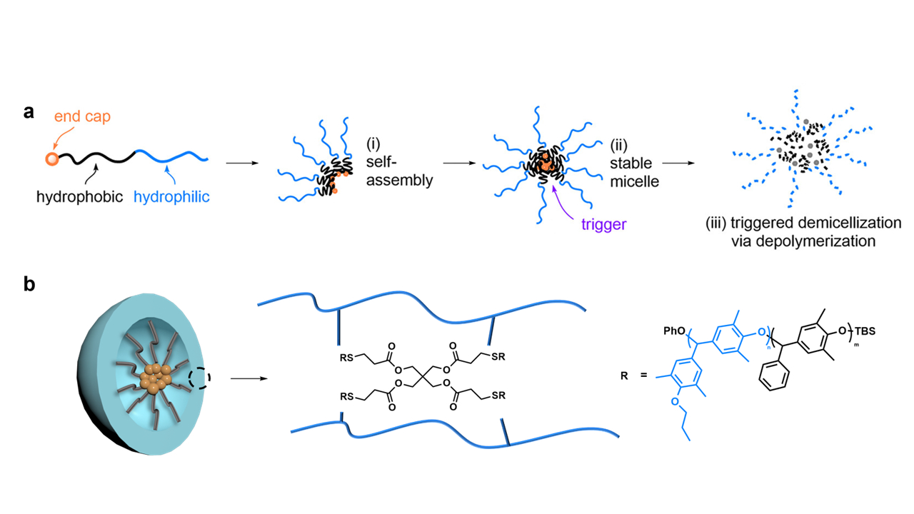 Selective Demicellization Of Poly(benzyl Ether)-based Surfactants Via ...