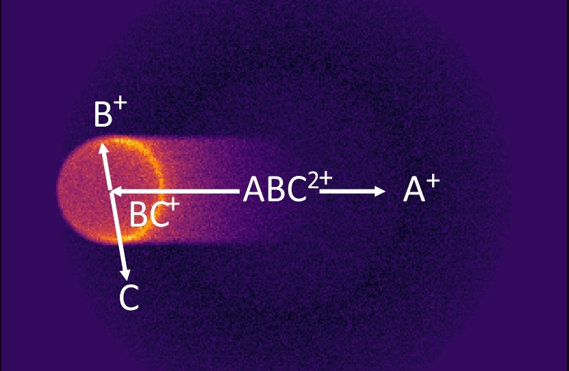 Unravelling multi step reaction - 3915460 File000000 