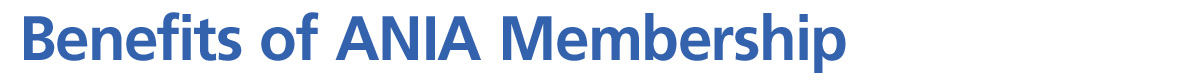 custom image