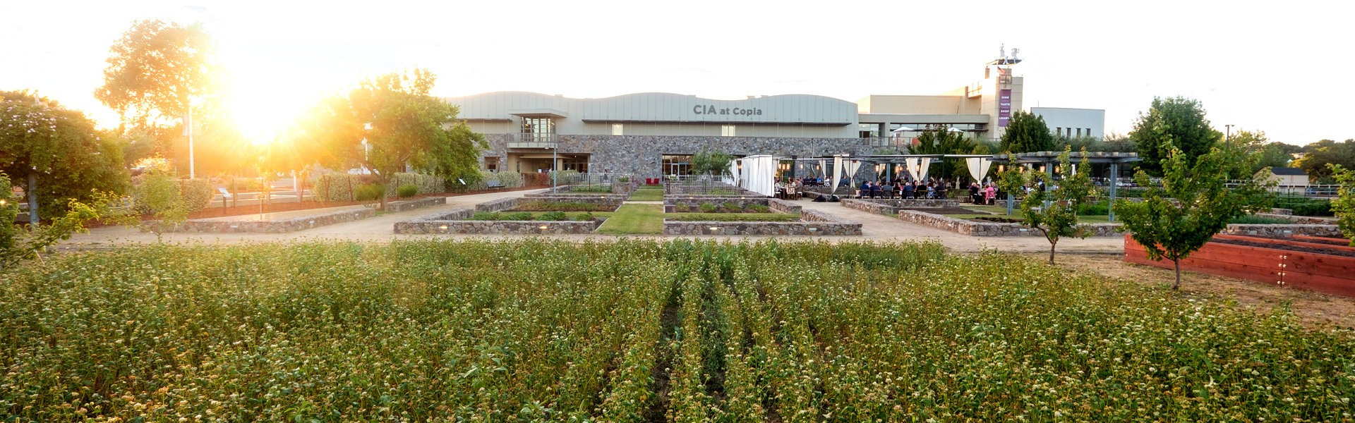 Culinary Institute of America at Copia