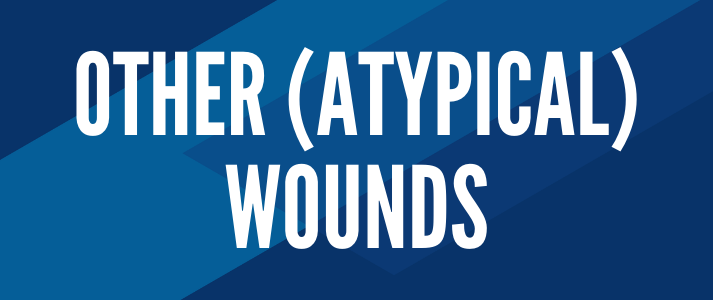 Click here to view other wounds courses