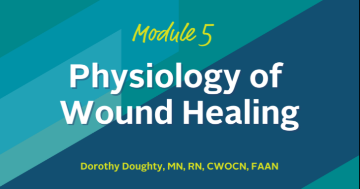 Physiology of Wound Healing