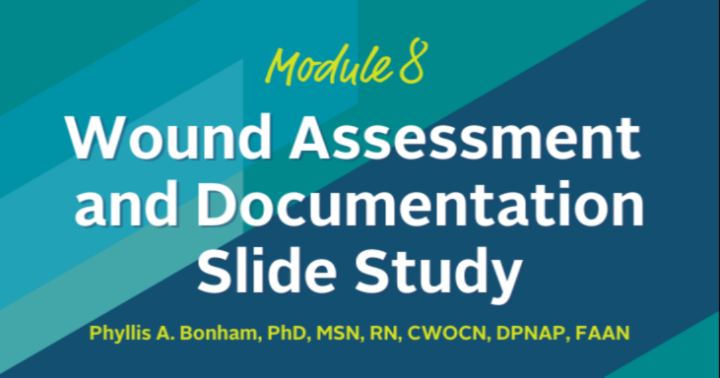 Wound Assessment and Documentation - Slide Study