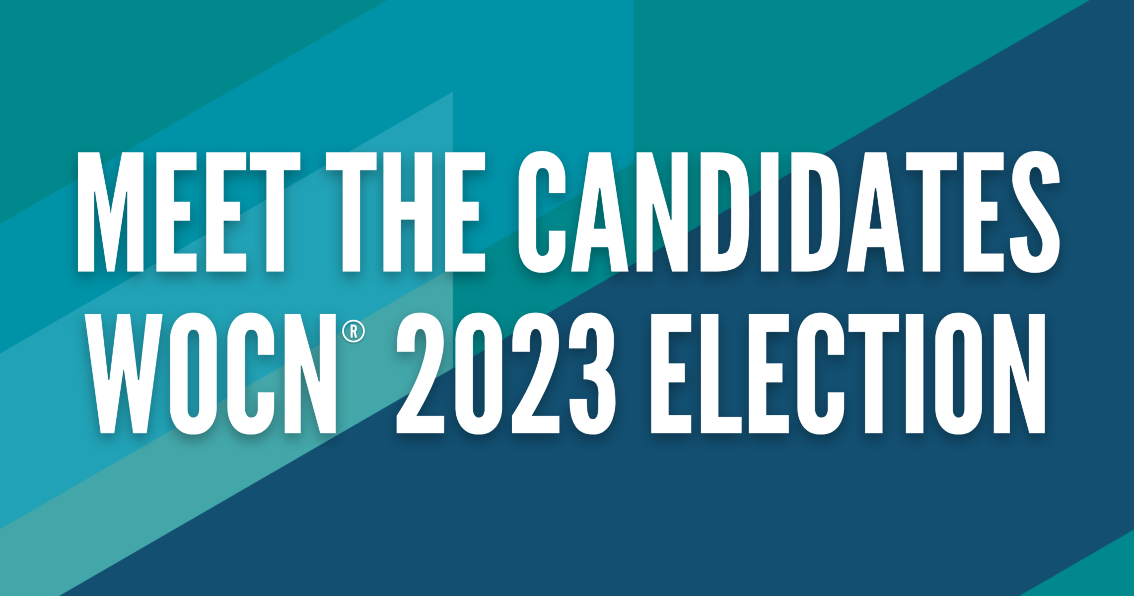 Meet the Candidates for the WOCN 2023 Election