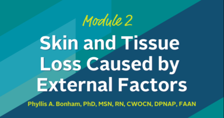 Skin and Tissue Loss Caused by External Factors icon