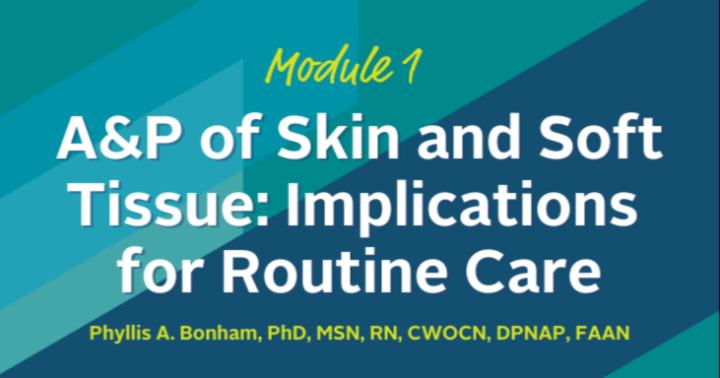 A&P of Skin and Soft Tissue: Implications for Routine Care