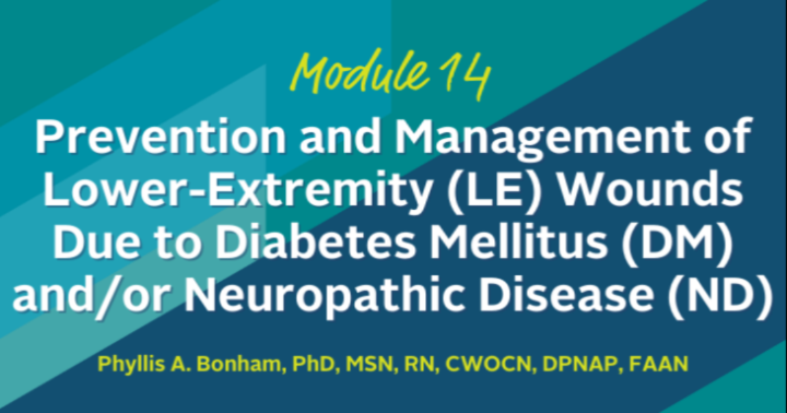 Prevention and Management of Lower-Extremity (LE) Wounds Due to Diabetes Mellitus (DM) and/or Neuropathic Disease (ND) icon